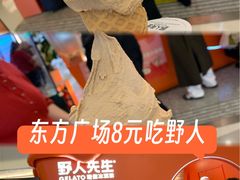 -野人先生现做冰淇淋(北京王府井东方新天地店)