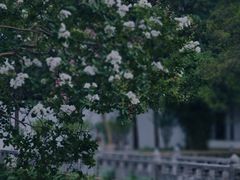 -苏州碑刻博物馆