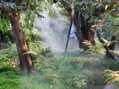 -Chom Cafe and Restaurant