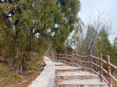 -龙洞风景区-藏龙涧