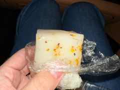 -新雅粤菜馆(南京东路店)