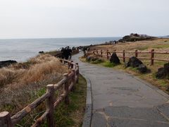 -涉地可支
