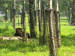 -秦皇岛野生动物园