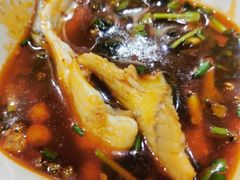 -烧哥美蛙肥肠鱼火锅·十五年社区店