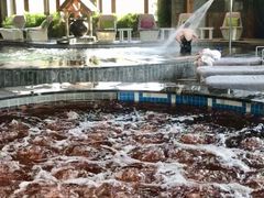 -弘安丽水温泉酒店