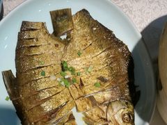 -洞庭家宴·头牌甲鱼(广渠门店)