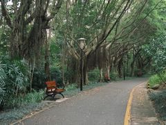 -深圳国际园林花卉博览园