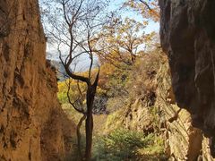 -吉林拉法山