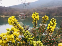 -紫霞湖公园