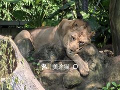 -海南热带野生动植物园