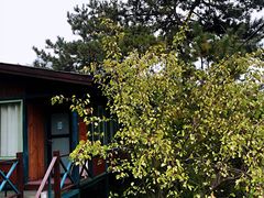 -北京水岸山吧度假村(雁栖镇店)