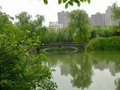 -西苑公园
