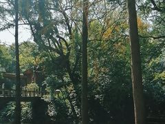 -广州兰圃