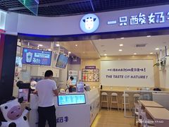 门面-一只酸奶牛(摩根吾悦广场店)