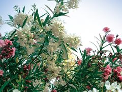 -明故宫遗址公园