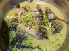 巧妇活水鱼-湘当有味(宋诏桥一店)