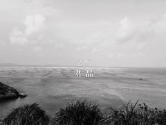 -枸杞岛