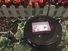 -上海昆虫博物馆