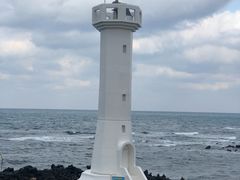 -海抱猪