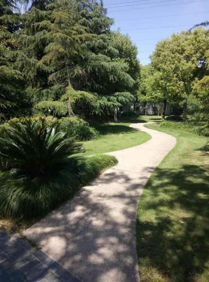 漕河泾开发区公园