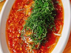 -老字号怡玺·藿香雅鱼(20年雅安店)