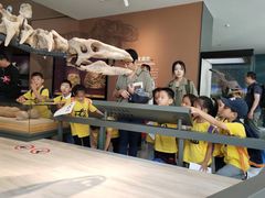 -大果情商(亲藤店)