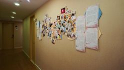 -海豚湾高端月子会所(黄浦店)