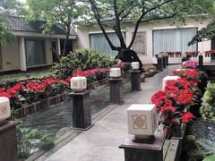 -寻味顺德·顺峰山庄(大良店)