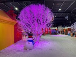 -圣名游乐城冰雪大世界