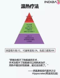 -Fundi张玉珊修身堂·indiba·BTL科技瘦身