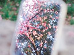 -唐城墙遗址公园