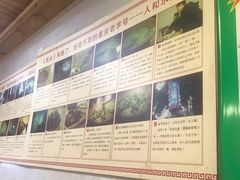 -人和水上飘(第一家店)