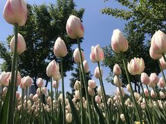 -长春公园(普阳街道)