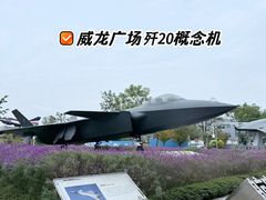-成飞公园