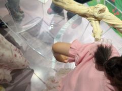 -上海大自然野生昆虫馆(东方明珠·爬宠昆虫探索中心)
