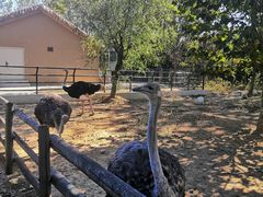 -大连森林动物园