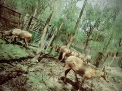 -溱湖国家湿地公园