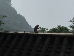 -北京上方山国家森林公园