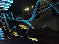 -同济大学四平路校区深海探索馆