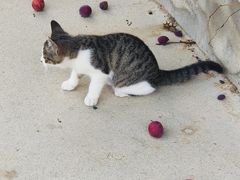 -羊亭河湿地公园