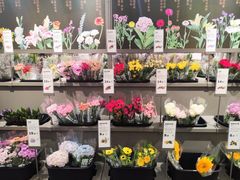 -鹿岛会员店(熙地港店)