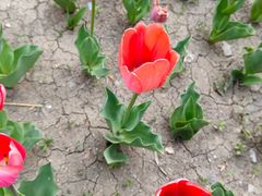 -长春公园(普阳街道)