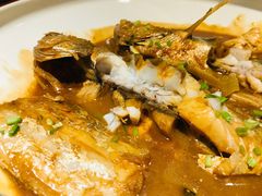 -船歌·鱼水饺青岛菜(国贸商城店)