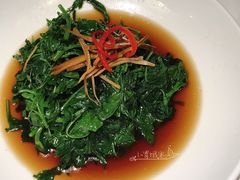 南京菊花脑-民国红公馆·秦淮八艳(夫子庙店)