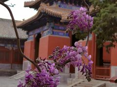 -北京国子监胡同