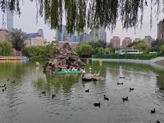 -团结湖公园