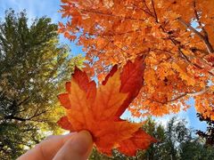 -天津东丽湖风景区