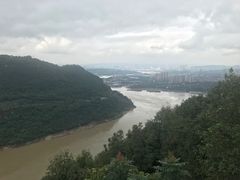 -铁山坪森林公园