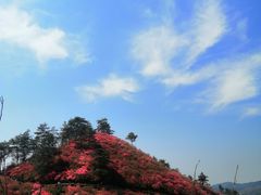 -木兰云雾山