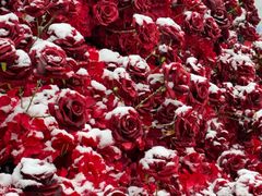 -万达广场(龙湖店)